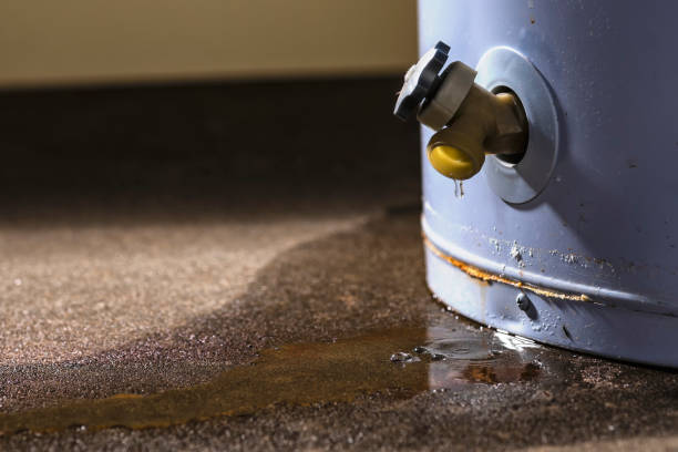 Best Sewage cleanup and water damage restoration  in Wixom, MI