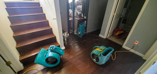 Best Flooded house restoration  in Wixom, MI