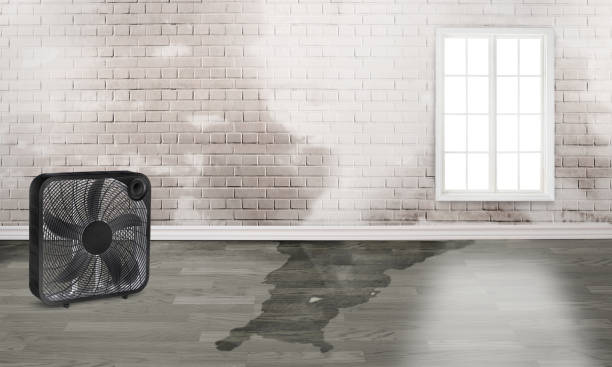 Best Fire Damage Restoration  in Wixom, MI