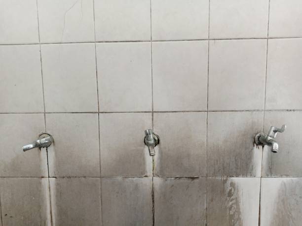 Best 24/7 water damage repair  in Wixom, MI